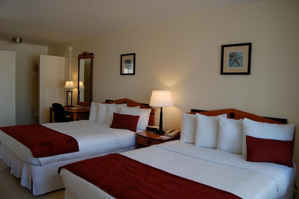 Alcazar Resort- Gay Mens Resort Fort Lauderdale Ruang foto